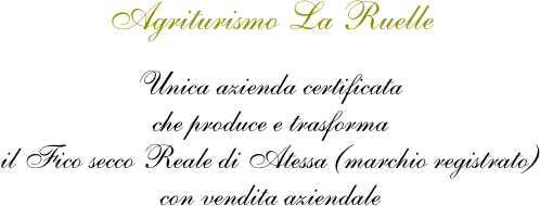 








Agriturismo La Ruelle

Unica azienda certificata
che produce e trasforma 
il Fico secco Reale di Atessa (marchio registrato)  con vendita aziendale












